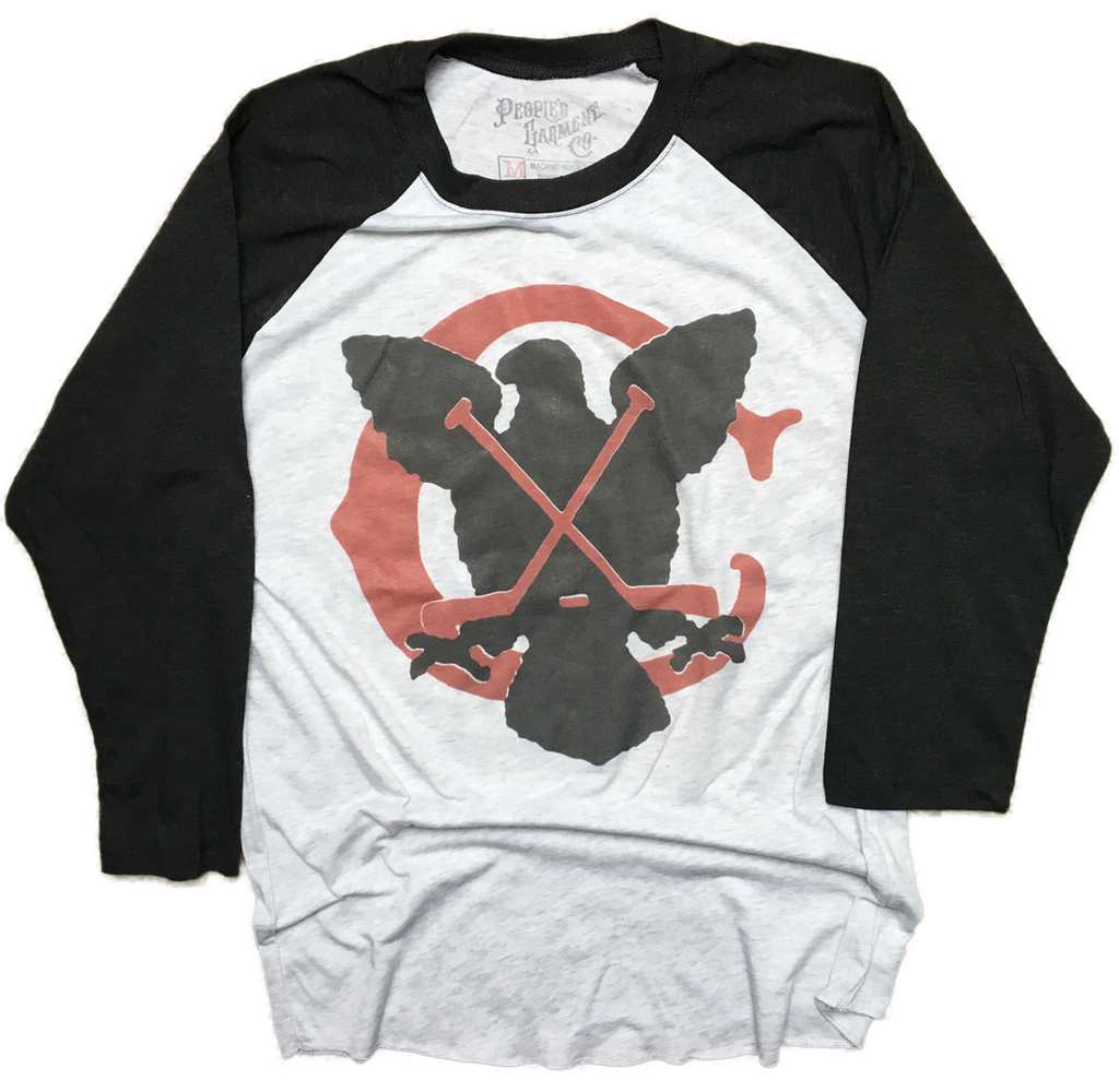 Chicago Hockey Raglan