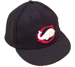 Chicago Whales hat